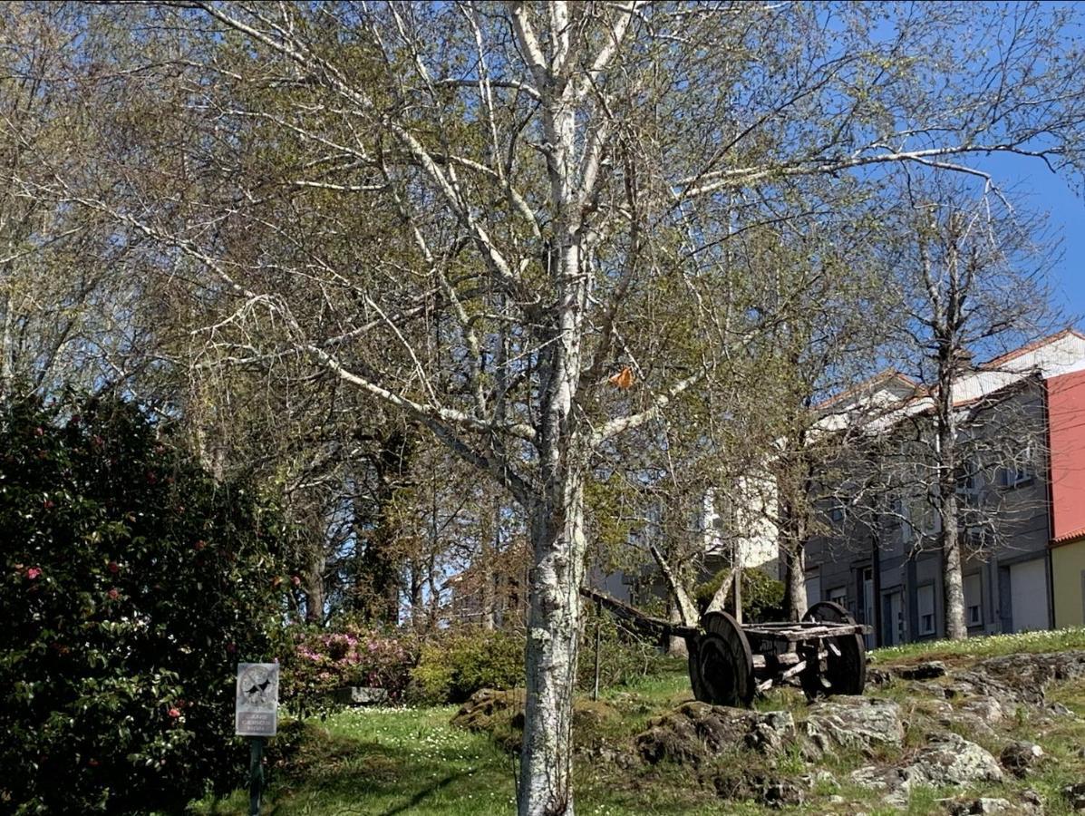 Campo De Estrellas Lägenhet Santiago de Compostela Exteriör bild